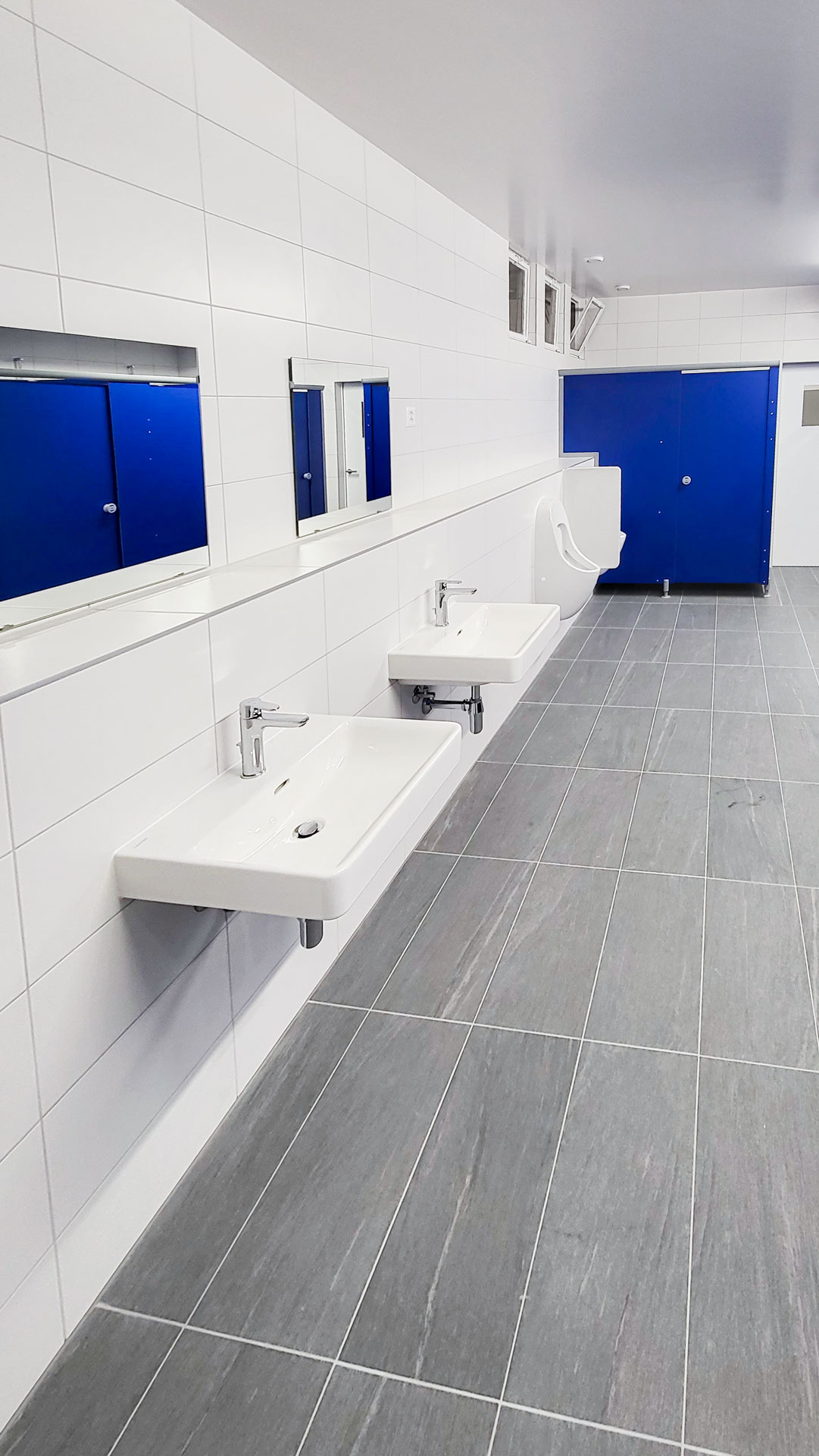 Toilette professionnel